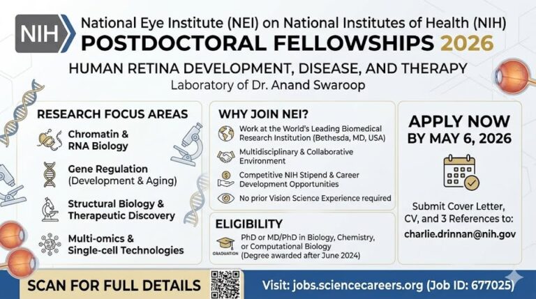 โอกาสร่วมทีมวิจัยระดับโลกที่ NIH สหรัฐอเมริกา! ทุน Postdoc ด้านจอประสาทตา (NEI) เปิดรับสมัครแล้ว